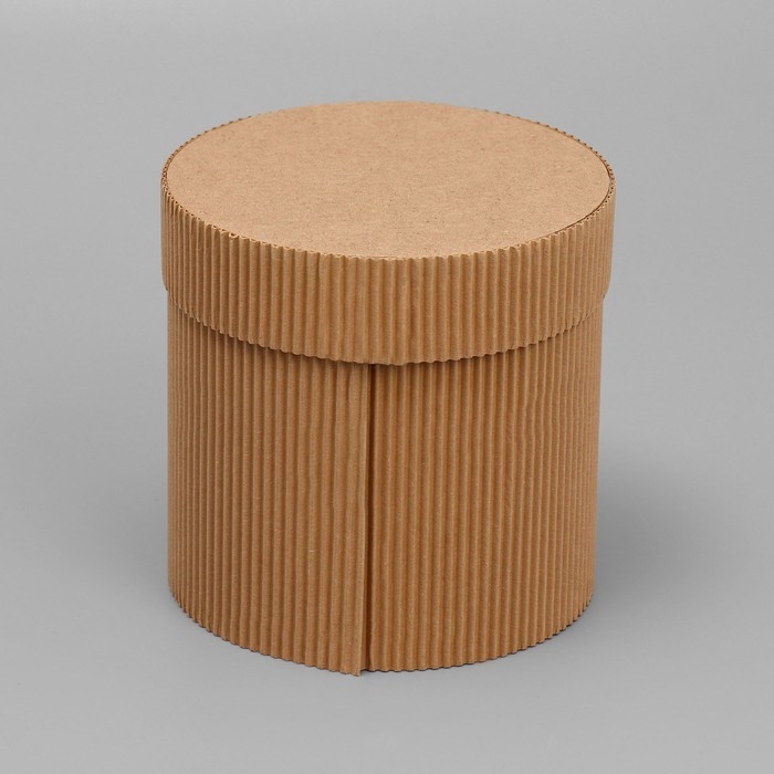 Коробка подарочная шляпная из микрогофры, упаковка, «Present for you», 12 х 12 см Коробка подарочная шляпная из микрогофры, упаковка, «Present for you», 12 х 12 см