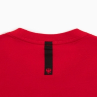 Лонгслив President, S, красный, 100% хлопок, кул.гладь 150 г/м2 Лонгслив President, S, красный, 100% хлопок, кул.гладь 150 г/м2