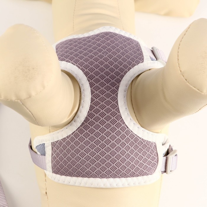 Комплект амуниции с мягкой шлейкой, M, поводок 120 х 1,5 см, ОШ 26-48 см, ОГ 26-48 см, серый