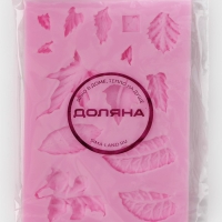 Молд Доляна &laquo;Гербарий&raquo;, силикон, 8&times;5&times;0,8 см, цвет МИКС