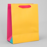 Пакет подарочный трёхцветный, упаковка, &laquo;Жёлтый-розовый-голубой&raquo;, MS 18 х 23 х 10 см