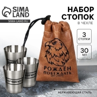 Стопки, набор &laquo;Побеждать&raquo;, 3 шт