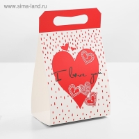 Пакет-коробка с ручкой 31 х 11 х 23 см