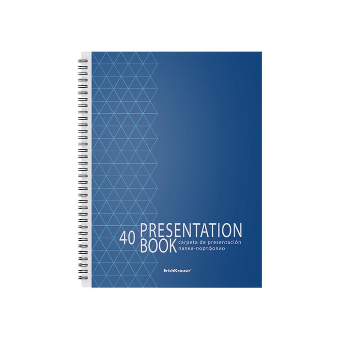 Папка-портфолио с 40 вкладышами А4, 550 мкм, ErichKrause Ladder of Success, спираль, с рисунком Папка-портфолио с 40 вкладышами А4, 550 мкм, ErichKrause Ladder of Success, спираль, с рисунком