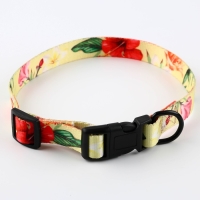 Набор &laquo;Цветы&raquo;, застёжка - фастекс, поводок 2 м и ошейник 28-46 см