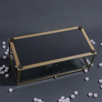 Органайзер для хранения «MOUNTAINS», с крышкой, стеклянный, с зеркальным дном, 1 секция, 21,5 × 10,5 × 7,5 см, цвет прозрачный/медный Органайзер для хранения «MOUNTAINS», с крышкой, стеклянный, с зеркальным дном, 1 секция, 21,5 × 10,5 × 7,5 см, цвет прозрачный/медный