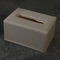 Шкатулка - диспенсер из искусственной кожи, цвет серый 10 х 18 х 10 см (салфетница) Шкатулка - диспенсер из искусственной кожи, цвет серый 10 х 18 х 10 см (салфетница)