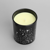 Свеча ароматическая "Silver Spot", ежевика, чёрный стакан Свеча ароматическая "Silver Spot", ежевика, чёрный стакан