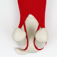 Свитер "Полоски", S (ДС 23, ОШ 23, ОГ 26-45 см), красный Свитер "Полоски", S (ДС 23, ОШ 23, ОГ 26-45 см), красный