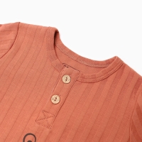 Лонгслив детский, цвет кирпичный, рост 74 см