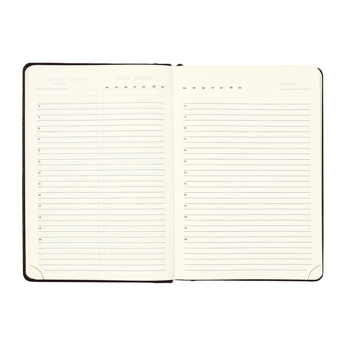 Ежедневник недатированный, твердая обложка кожзам с поролоном, термо тиснение, перфорация, ляссе, кремовый блок 70 г/м2, коричневый