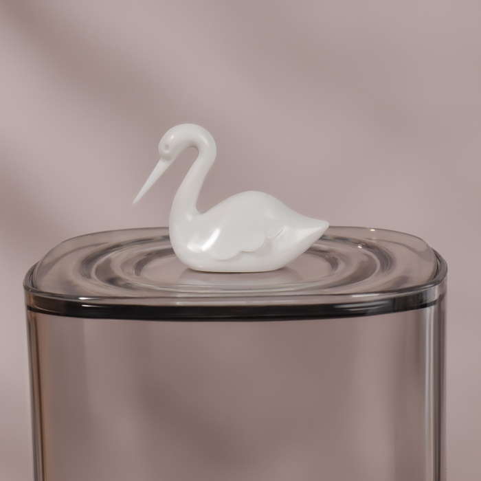 Органайзер для хранения &laquo;Пеликан&raquo;, с крышкой, 9 &times; 9 &times; 13,5 см, цвет прозрачный