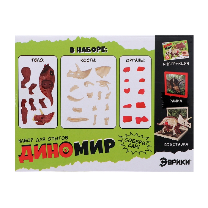 Набор для опытов «Диномир: Трицератопс», строение тела динозавра, 33 детали Набор для опытов «Диномир: Трицератопс», строение тела динозавра, 33 детали
