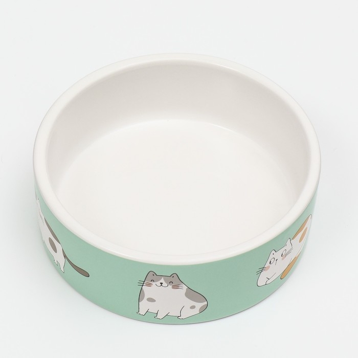 Миска керамическая Миска керамическая "Котяры" 300 мл 12,5 x 4,5 cм, бело-зелёная