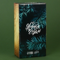 Свечи в стакане новогодние «Новый год: Счастья от Деда Мороза», набор, 2 шт., аромат корица и апельсин Свечи в стакане новогодние «Новый год: Счастья от Деда Мороза», набор, 2 шт., аромат корица и апельсин