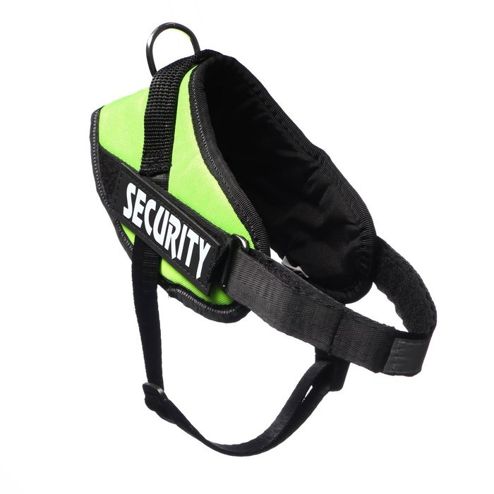 Шлейка К9 мягкая светоотражающая, размер S, ОГ 45-55 см, вес 5-12,5 кг, зелёная Шлейка К9 мягкая светоотражающая, размер S, ОГ 45-55 см, вес 5-12,5 кг, зелёная