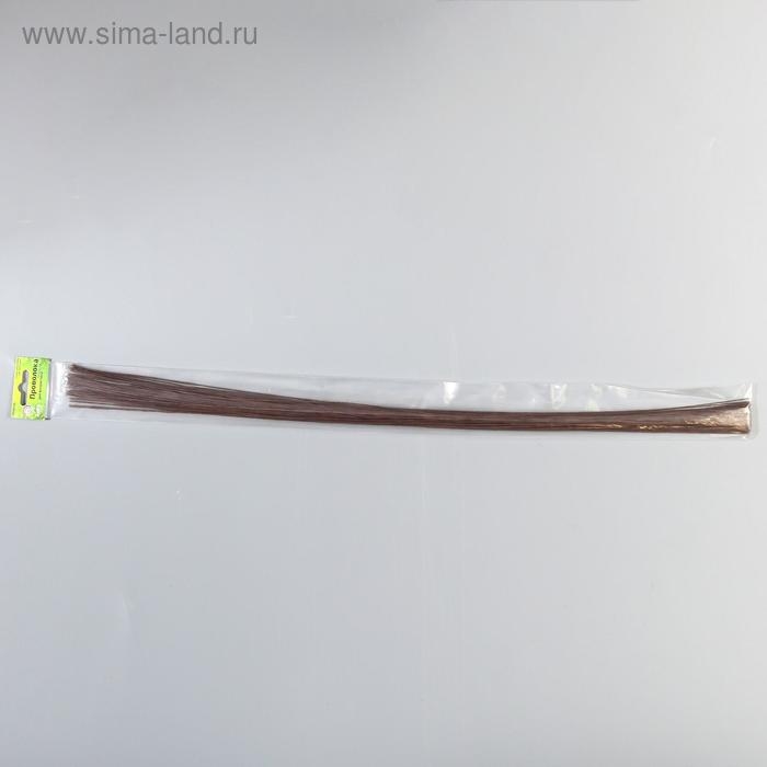 Набор проволоки для творчества d-0,8 мм, 60 см, 50 шт, коричневый Набор проволоки для творчества d-0,8 мм, 60 см, 50 шт, коричневый