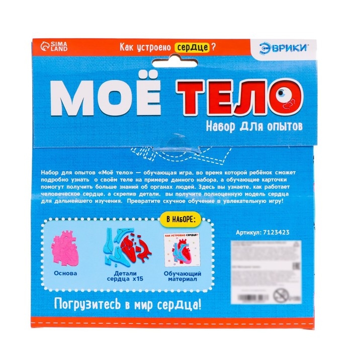 Набор для опытов &laquo;Моё тело&raquo;, сердце