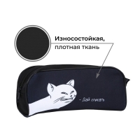 Пенал школьный текстильный &laquo;1 сентября: Дай списать&raquo; Кот, 20 х 8 х 4 см
