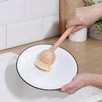 Щётка для посуды Доляна &laquo;Лотос&raquo;, круглая, 22 см