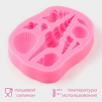 Молд Доляна &laquo;Большие ракушки&raquo;, силикон, 9,4&times;7,5&times;1,5 см, цвет МИКС