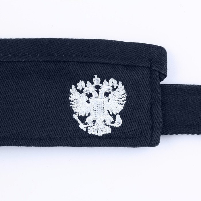 Козырек &laquo;President&raquo;, цвет синий