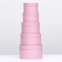 Набор шляпных коробок 5 в 1,"Пыльная роза", 20 х 12,18 х 11,16 х 10,14 х 9,13 х 8,5 см