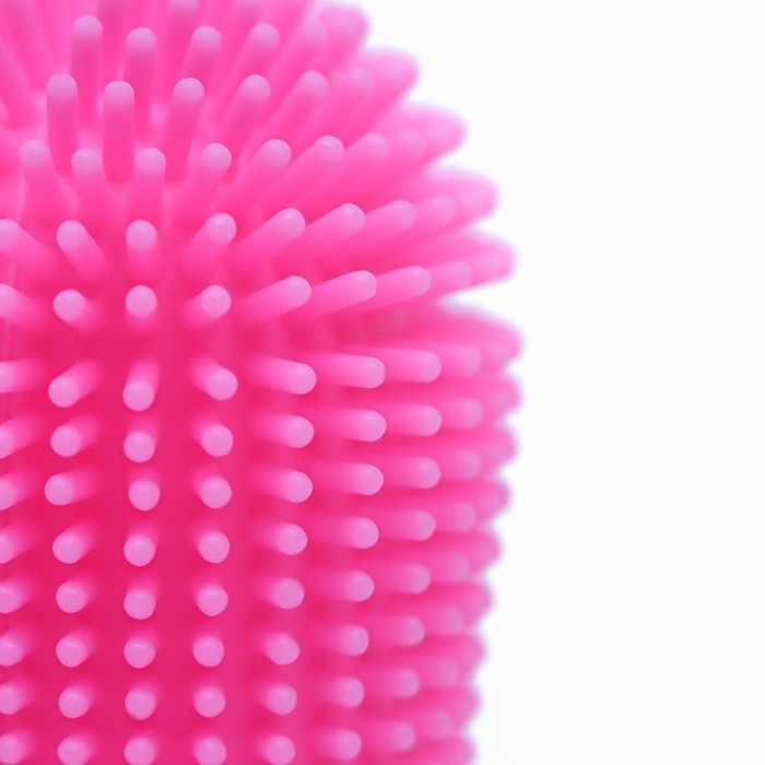 Щётка для чистки зубов животных, 5,5 х 2,5 см, розовая, контейнер 7 х 4 см Щётка для чистки зубов животных, 5,5 х 2,5 см, розовая, контейнер 7 х 4 см