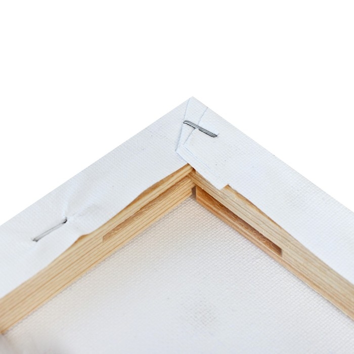 Холст на подрамнике, хлопок 100%, 1,6 х 70 х 90 см, акриловый грунт, мелкозернистый, 280 г/м² Холст на подрамнике, хлопок 100%, 1,6 х 70 х 90 см, акриловый грунт, мелкозернистый, 280 г/м²