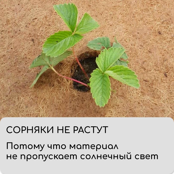 Кокосовое полотно для мульчирования, 3 × 1 м, «Мульчаграм» Кокосовое полотно для мульчирования, 3 × 1 м, «Мульчаграм»