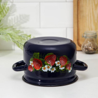 Кастрюля эмалированная цилиндрическая, 2 л, индукция, деколь МИКС, цвет синий Кастрюля эмалированная цилиндрическая, 2 л, индукция, деколь МИКС, цвет синий