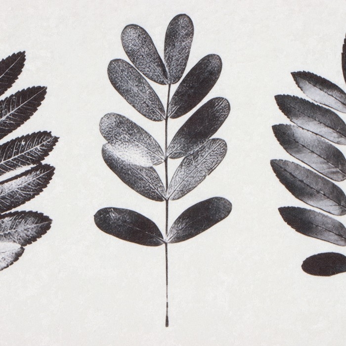 Коврик для ванной Этель Natural print 50х80 см,100% п/э, велюр Коврик для ванной Этель Natural print 50х80 см,100% п/э, велюр