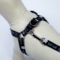 Комплект Grrr...wof, шлейка 36-49 см, поводок 120х1.5 см Комплект Grrr...wof, шлейка 36-49 см, поводок 120х1.5 см