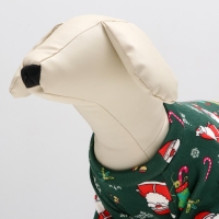 Новый год. Кофта новогодняя для животных "Подарки", размер S, зелёный (ДС 26, ОШ 22, ОГ 34 см) Новый год. Кофта новогодняя для животных "Подарки", размер S, зелёный (ДС 26, ОШ 22, ОГ 34 см)