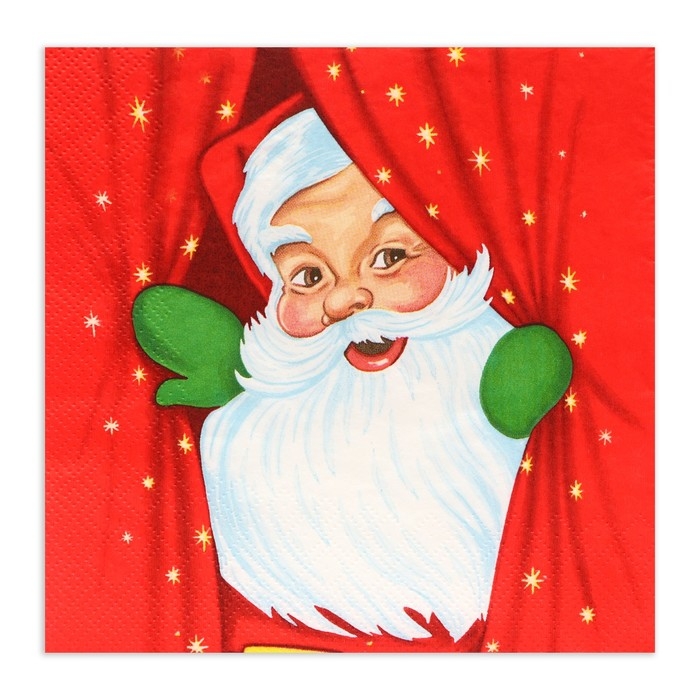 Новогодние салфетки бумажные Home Collection Сlassic &laquo;Новогоднее представление&raquo;, 3 слоя, 33х33 см, 20 шт