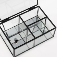 Шкатулка стекло с металлическим каркасом "Лёгкость с кисточкой" прозрачная 13х18х6,8 см Шкатулка стекло с металлическим каркасом "Лёгкость с кисточкой" прозрачная 13х18х6,8 см