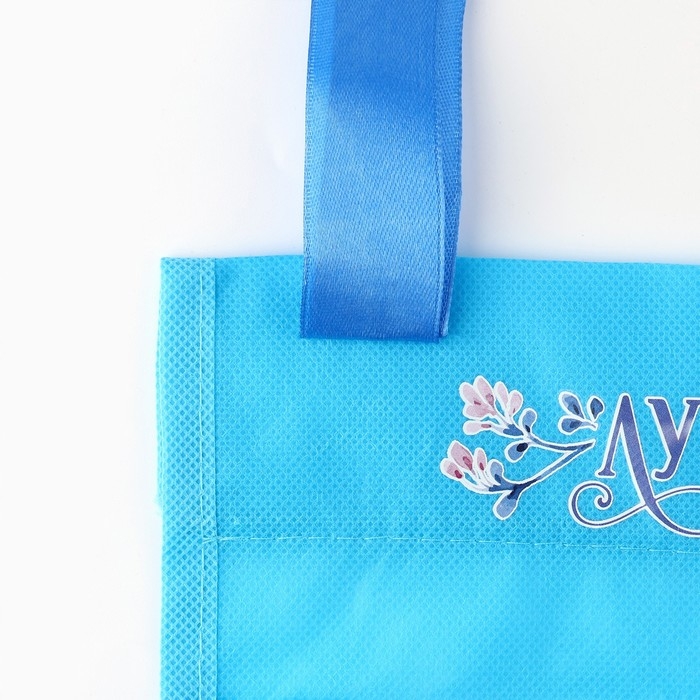 Органайзер для хранения вещей с 2 отделениями «Лучший сынок» голубой, 28х25 Органайзер для хранения вещей с 2 отделениями «Лучший сынок» голубой, 28х25