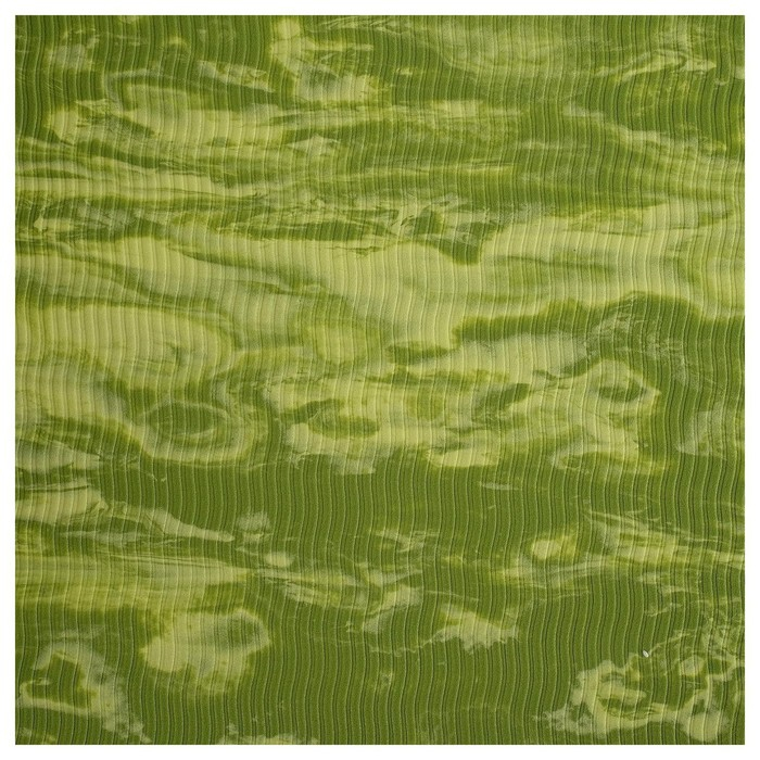 Коврик для йоги Sangh, 183&times;61&times;0,8 см, цвет зелёный