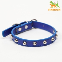 Ошейник с затупленными шипами 38 х 1,5 см, ОШ 26-33, морозостойкий материал PU, голубой Ошейник с затупленными шипами 38 х 1,5 см, ОШ 26-33, морозостойкий материал PU, голубой