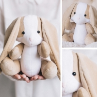 Мягкая игрушка &laquo;Плюшевый зайка Боня&raquo;, набор для шитья, 15,6 &times; 22,4 &times; 5,2 см