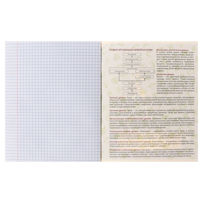 Тетрадь предметная Calligrata TOP "Мрамор тёмный", 48 листов в клетку Биология, со справочным материалом, обложка мелованный картон, покрытие Soft-touch с тиснением золотой фольгой, блок офсет
