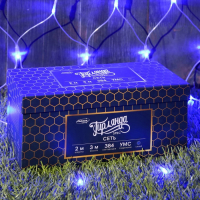 Гирлянда «Сеть» 2 × 3 м, IP44, УМС, прозрачная нить, 384 LED, свечение синее, 220 В Гирлянда «Сеть» 2 × 3 м, IP44, УМС, прозрачная нить, 384 LED, свечение синее, 220 В