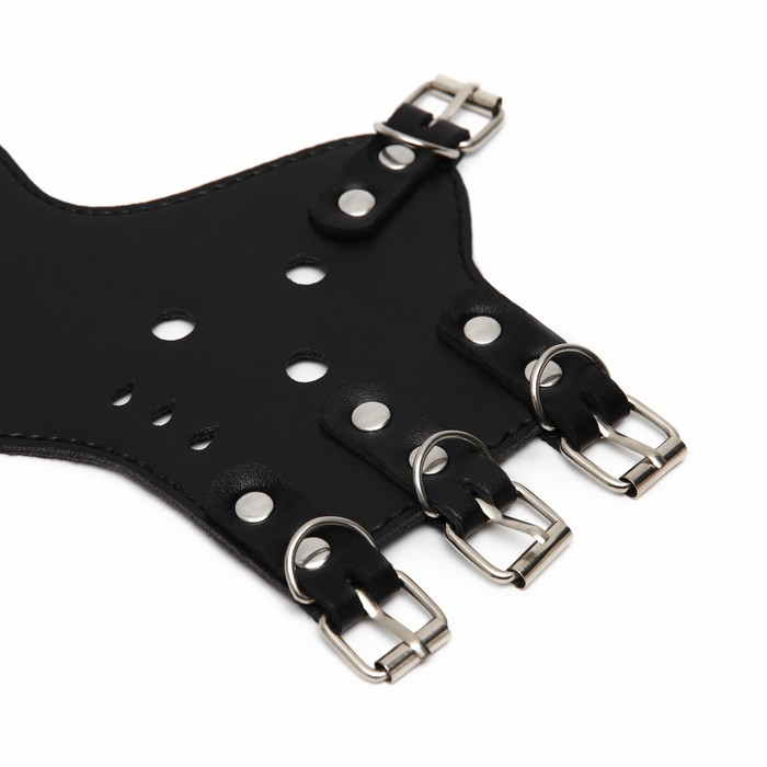 Намордник из прессованной кожи регулируемый, №5, ДН 9,3 см, ОМ 32-40 см, чёрный Намордник из прессованной кожи регулируемый, №5, ДН 9,3 см, ОМ 32-40 см, чёрный