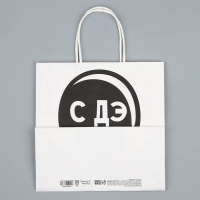 Пакет подарочный, упаковка, &laquo;С Дэ Рэ&raquo;, 22 х 22 х 11 см