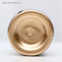 Блеск пищевой MIXIE &laquo;Идеальное золото&raquo;, 10 г