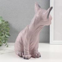 Фигурка "Котенок Сфинкс" 22 х 10 х 21 см.