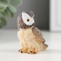 Сувенир полистоун "Серая сова" МИКС 2,3х4,3х4,5 см Сувенир полистоун "Серая сова" МИКС 2,3х4,3х4,5 см