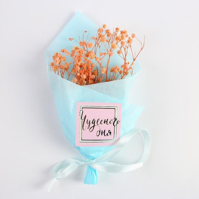 Букет из сухоцветов «Чудесного дня», 13 × 21 × 5 см Букет из сухоцветов «Чудесного дня», 13 × 21 × 5 см