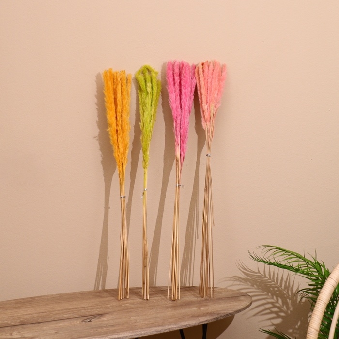 Набор сухоцветов 80 см (10 шт) микс