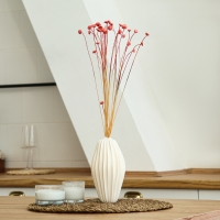 Сухоцвет &laquo;Батао&raquo; набор 20 шт., цвет красный